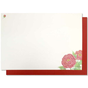 ay@O~@FO@F~5g@40.5×28cm@@j̐ȁ@ãe[uEFA@`}bg