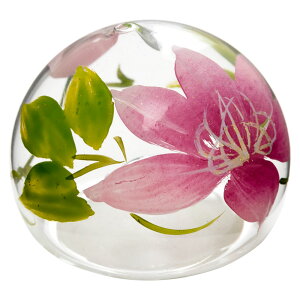 r[hʁE@sNS(T-011)@ɕׂėCeA@ؔV{@̍H|i@Glass float Fukushima craft