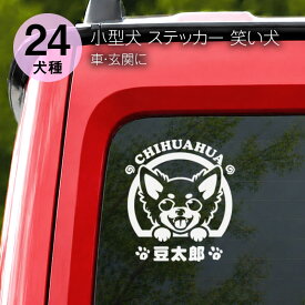 ステッカー 犬 車 | 笑い犬 小型犬 | トイプードル チワワ ダックスフンド ポメラニアン ミニチュアシュナウザー ヨークシャーテリア フレンチブルドッグ シーズー マルチーズ パグ コーギー パピヨン ミニチュアピンシャー キャバリア | 名入れ 名前 DOG IN CAR グッズ