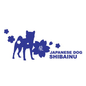 ČVGbgXebJ[iU炵j Ԃ⌺ւɘafUC ObY ybg G 