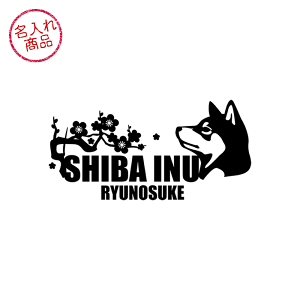 OXebJ[ āi~/gj ԂoCÑ|CgɁI  ObY G O  CXg Č   낵