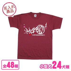 OTVc ~}i^j gCv[h ` _bNXth |jA V[Y[ pO [NV[eA ps t`uhbO ~j`AViEU[ }`[Y R