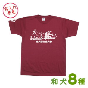 OTVc  -JP- Hc b㌢ IB l Č kC  {Xsbc ObY G I[i[EFA a {  IWi I[_[Ch  ybg  v[