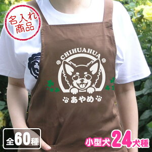 OGv ΂i^j gCv[h ` _bNXth |jA V[Y[ pO [NV[eA ps t`uhbO ~j`AViEU[ }`[Y 