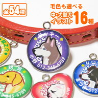 迷子札（中大型犬イラスト） ゴールデンレトリバー ラブラドールレトリバー ボーダーコリー バーニーズマ…