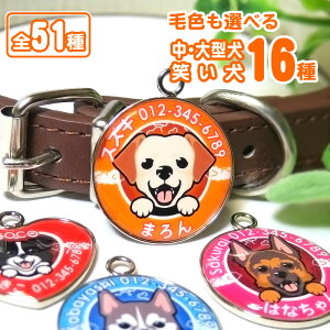 qD ΂iE^j S[fgo[ uh[go[ {[_[R[ o[j[Y}EehbO uhbO VxAnXL[ tR[ W[}VFp[