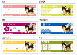 楽天市場 お名前マグカップ 小型犬 トイプードル チワワ ダックスフンド ポメラニアン ミニチュアシュナウザー ヨークシャーテリア フレンチブルドック シーズー マルチーズ パグ コーギー パピヨン キャバリア ミニチュアピンシャー ペキニーズ 犬 グッズ 雑貨 名