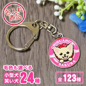 L[z_[ ΂i^j gCv[h ` _bNXth |jA V[Y[ pO [NV[eA ps t`uhbO ~j`AViEU[ }`[