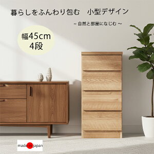 yP10{z`FXg 45cm o4i { i ߗގ[ RpNg nC`FXg ؐ Ԏ[  Vv i` V l炵 Y