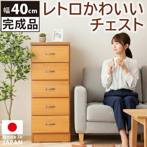 [`FXg 40cm 5i ^X X i { i` g 킢 ؐ o ߗގ[ [Ƌ rt Y ʏ h[`FXg