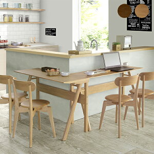 _CjOZbg _CjOe[u4_Zbg 4lp 4l| 4_Zbg 120cm HZbg e[u `FA ؐ Vv ؍CeA