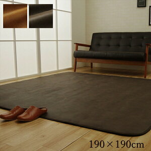 【10%オフクーポン!】【イケヒコ スクラッチ ラグカバー ブラウン ダークブラウン】ソファー カバー 引っかき傷防止 190×190cm 抗菌 韓国インテリア