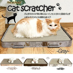 LbgXNb`[ lR̒܂Ƃ ܂Ƃ t{ lCPA ܂Ƃ  lRƋ lRpi O[ zCg EH[ibg [v ybgpi ybgƋ 킢 lRp  