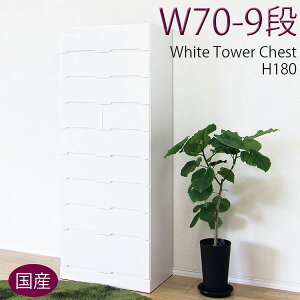 yP10{z^X `FXg ^[`FXg 70cm  zCg ߗގ[ Gihdグ ؐ y i Y z ؍CeA