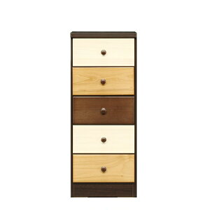 `FXg ^X X`FXg 40cm o 5i ؐ  ˍ { k_ i ؍CeA