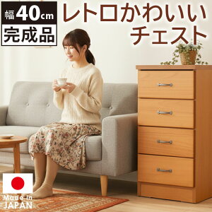 [`FXg 40cm 4i ^X X i { i` g 킢 ؐ o ߗގ[ [Ƌ rt Y ʏ h[`FXg