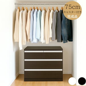 LX^[t N[[bgp`FXg 75cm s65cm 3i eʃ^X i [ m^X ߑP[X XCh[ ؐ { Y