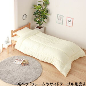 y10ItN[|Izzc3_Zbg ӂƂZbg |zc ~zc  ܂ ېOK y2.5kg Y }N LeBOH Y ێ   { l炵 V