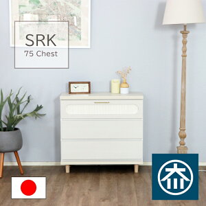 y3000~OFFN[|zzz`FXg ^X 75.9Xs34X72 3i [Ƌ N[[bg Y  XCh[ { [^X ߗގ[ [ o ؍CeA