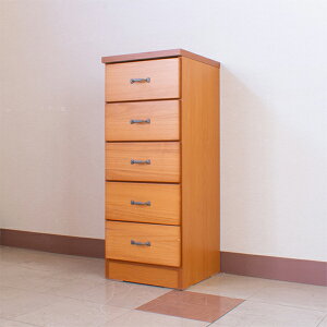 y1000~OFFN[|zzz[`FXg 40cm 5i ^X X i { i` g 킢 ؐ o ߗގ[ [Ƌ rt Y ʏ h[`FXg