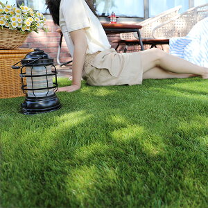 lH htl Ő ŏ20 100Xs1000X2 K[f K[fjO  ۊ Ռ99.9% UVH ϋv y ȒPݒu i`  V ˌ ؍CeA