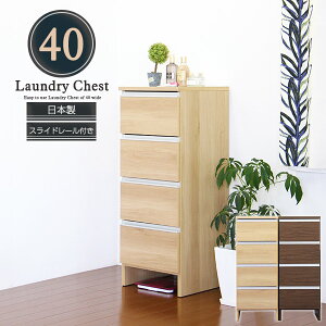 y10ItN[|IzTj^[`FXg ʏ [ 40cm 40 h[[ Ԏ[ Ԏ[ ܎[ h[`FXg Tj^[[ i [I Eߏ[ o