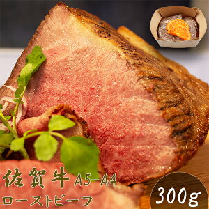  [Xgr[t ꋍ  ꋍ[Xgr[t   蕨 300g XCX Ε Mtg p[eB[ Ⓚ Y Xe[L  ؍CeA