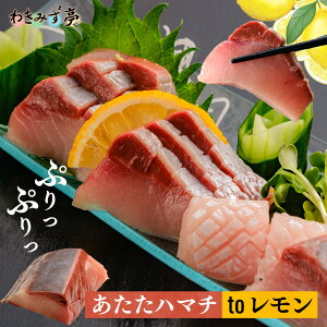 あたたハマチtoレモン 1kg 刺身 はまち ブリ しゃぶしゃぶ はまち ブリ 養殖はまち クール便 冷凍食品 れもん しゃぶしゃぶ 極上 国産 新鮮 晩酌 朝食 グルメ お礼 ギフト プレゼント お土産 お