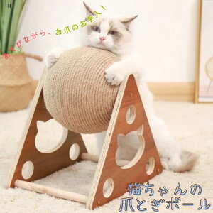 Lp ܂Ƃ{[ XNb`[ ؐt {[ L XgX ^s CeA܌