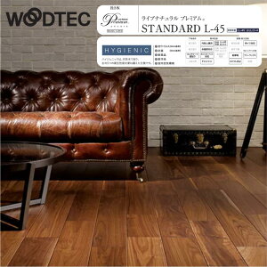 EbhebN Cui`v~A L-45 ubNEHibg \t[O hL45 g[Ή C҂   ؖ }Vp