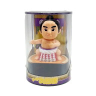 ソーラー　大相撲