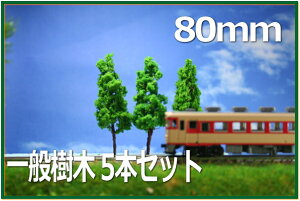 ؖ͌^@80mm@΁@5{Zbg