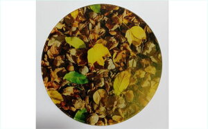 ANWI}x[X@nA@W@~`10Z`@t}CxgWɁylR|Xz