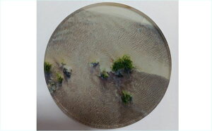 ANWI}x[X@A@~`6Z`@W@t}CxgWɁylR|Xz