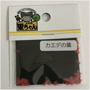 1/80@JGf̗tyizylR|Xz