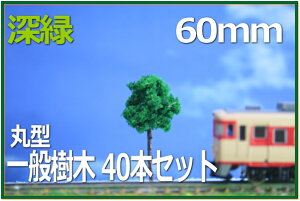 ؖ͌^@ی^@60mm@[΁@40{Zbg