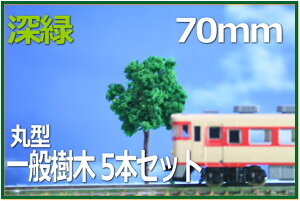 ؖ͌^@ی^@70mm@[΁@5{Zbg