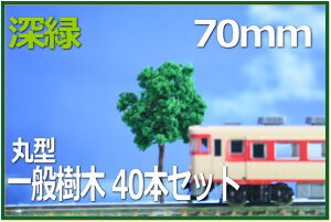 ؖ͌^@ی^@70mm@[΁@40{Zbg