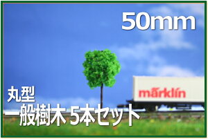 ؖ͌^@ی^@50mm@΁@5{Zbg