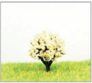 ~j`Aؖ͌^@25mm@@10{Zbg