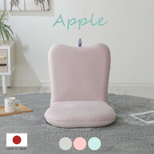 APPLE֎q a254@֎q ֎q CX ܂肽  RpNg k { RpNg NCjO q ׋ e[N w ݑ