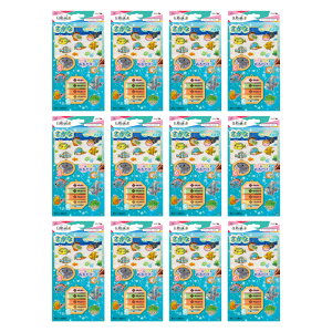 OXfR I[igZbg  12 v[g KXG KXG̋ HLbgV V a v[g Mtg 4 5 6 wN wN ̎q j̎q R 