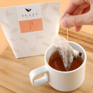 TEAET geB[obO 3g×6Y {  Β eB[obO g ag y  킢 v`Mtg  N 