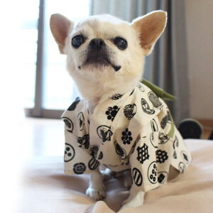 [֑yL߁zƖ䗁߁@Ɩ䕿@񂱕 ybgp߁@@čՂ@_`@@߂@߁@@ԁ@A[eBVt[@񂴂@Of[V@