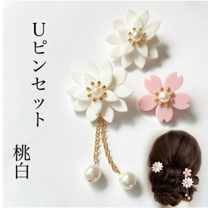 @3{UsZbg@@a@wAANZT[@@߂@߁@@@ԁ@A[gt[@A[eBVt[@񂴂@Of[V@@VN@