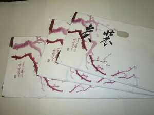 yzyƂzyzygݍRzy܂炸ɔz~Ƃ 10ZbgʌyɎzy􎆁z