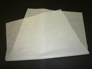 yiƓwőzyƂzyzy܂炸ɔz[t(61cm×84cm)Ƃp̔̂ 10
