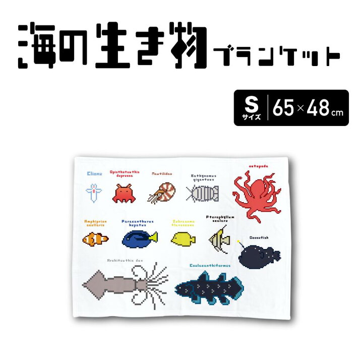 楽天市場 海の生き物 ブランケット Sサイズ 65 48cm 手書きイラスト海の生き物 グッズ ひざ掛け 軟体動物 イラスト 絵 秋冬もの 暖かい 厚手 魚 クリオネ オウムガイ シーラカンス アンコウ イカ タコ 熱帯魚opisthoteuthis Depressa Wakopro Shop ワコプロショップ