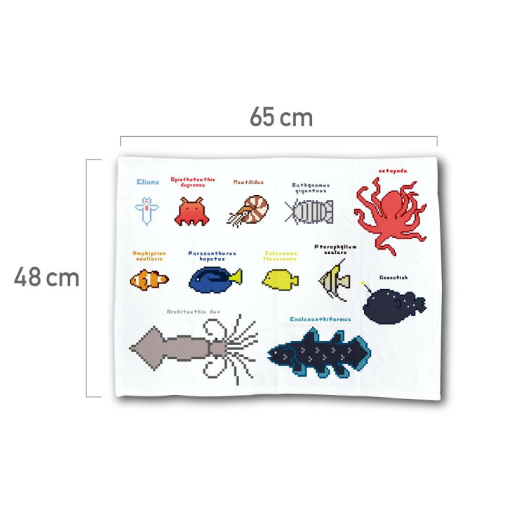 楽天市場 海の生き物 ブランケット Sサイズ 65 48cm 手書きイラスト海の生き物 グッズ ひざ掛け 軟体動物 イラスト 絵 秋冬もの 暖かい 厚手 魚 クリオネ オウムガイ シーラカンス アンコウ イカ タコ 熱帯魚opisthoteuthis Depressa Wakopro Shop ワコプロショップ