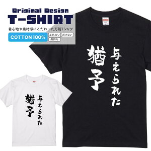 TVcw^ꂽP\x TVc TVc 2TVc Q[p  bZ[WtVc pfBTVc fB[X Y s  i ^ pfB v[g Mtg 